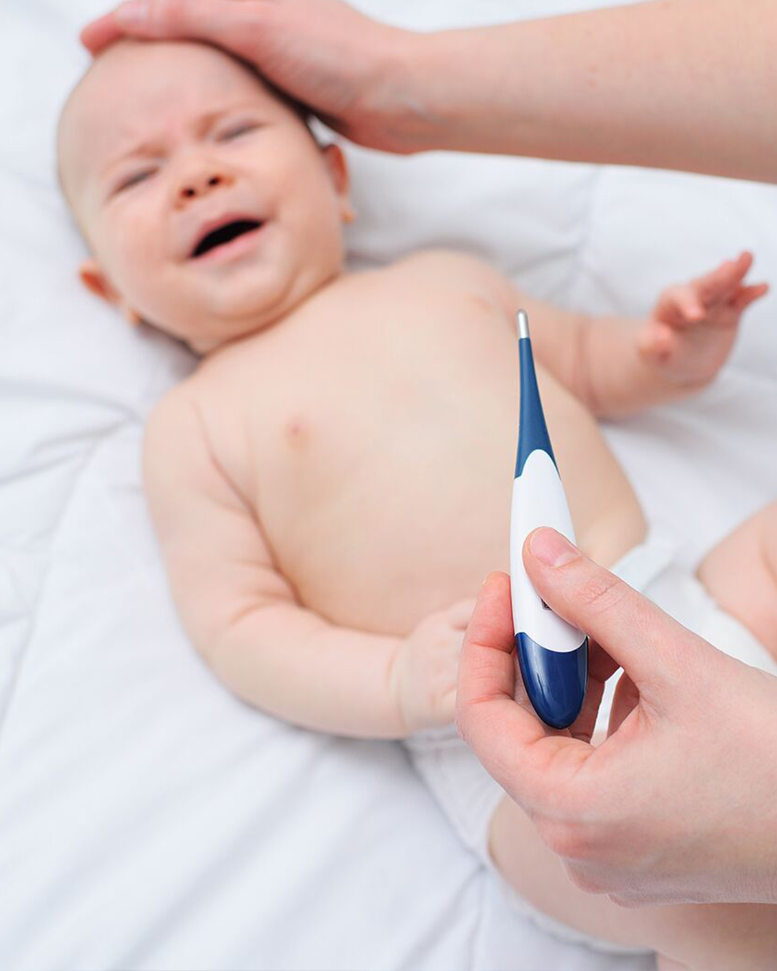 Advanced Fever Package