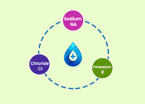 ELECTROLYTES PROFILE
