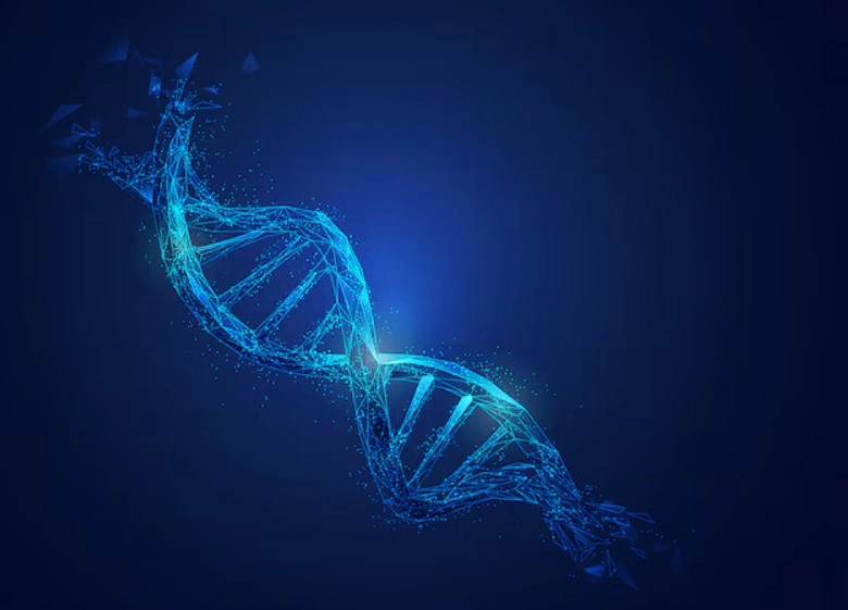 Whole Exome Sequencing