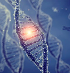 Methylation Pathway